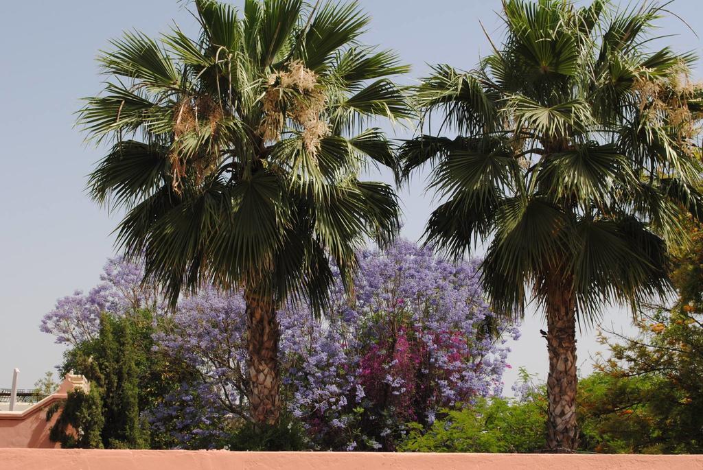 Dar Palmyra Riad Marrakesch